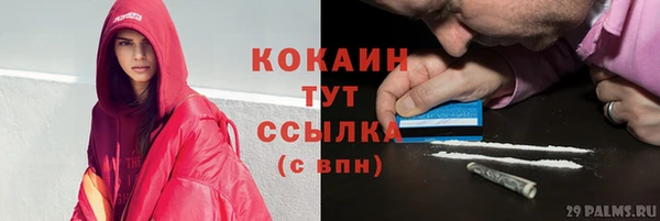 ГАЛЛЮЦИНОГЕННЫЕ ГРИБЫ Сясьстрой