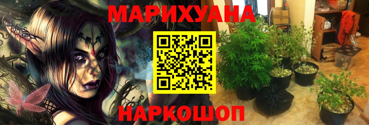 Каннабис семена  Канабис гибрид  Вход с VPN  Конопля Bruce Banner  Канабис семена  Назарово 